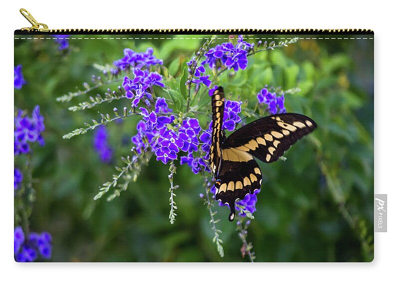 Butterfly Zip Pouch featuring the photograph Enjoying A Meal by Leticia Latocki