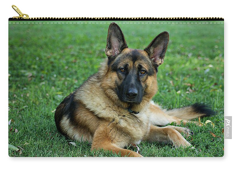 German Shepherd Zip Pouch featuring the photograph Enjoying the Day by Sandy Keeton