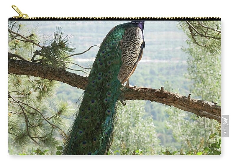 Bird Zip Pouch featuring the photograph Enjoying the view by Ernest Echols