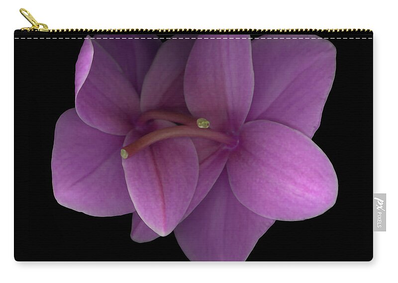 Limited Edition 1 Of 250 Zip Pouch featuring the photograph Entwined by Heather Kirk