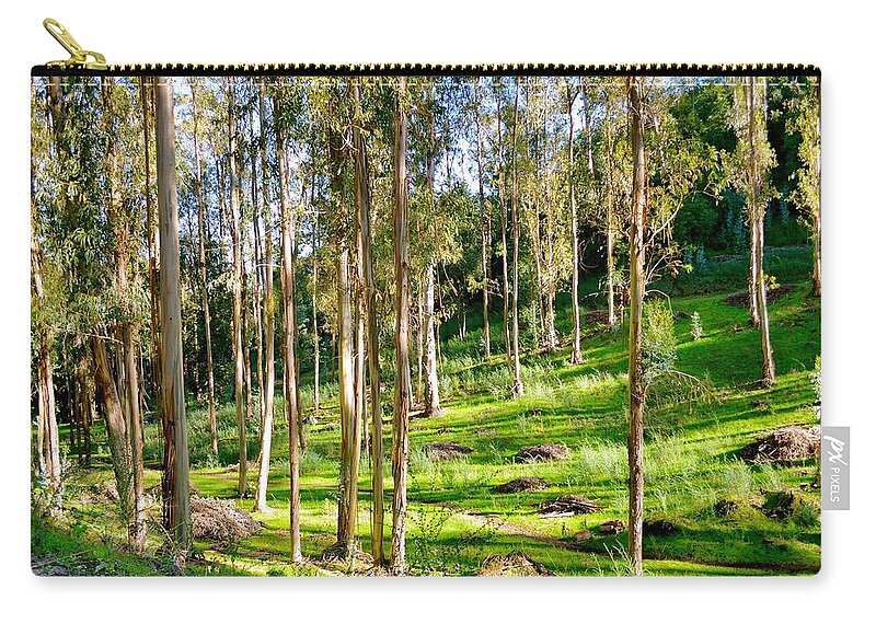Eucalyptus Zip Pouch featuring the photograph Eucalyptus by Maria Jansson