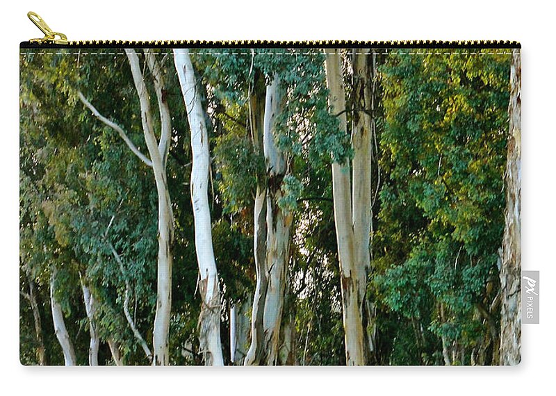 Trees Zip Pouch featuring the photograph Eucalyptus Trees by Liz Vernand
