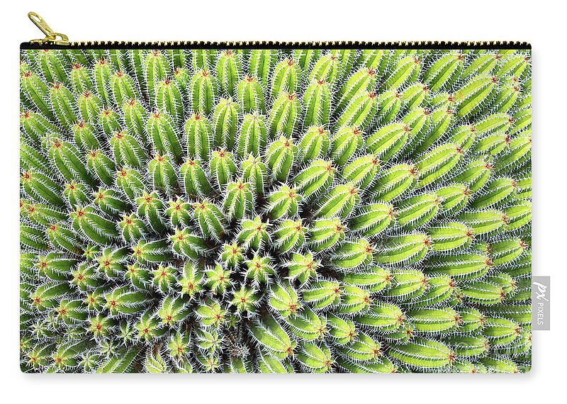 Cactus Zip Pouch featuring the photograph Euphorbia by Delphimages Photo Creations
