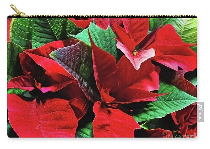 Christmas Decoration Zip Pouch featuring the photograph Euphorbia pulcherrima by Jasna Dragun