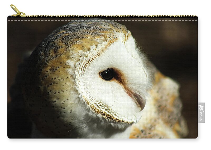 Owl Carry-all Pouch featuring the photograph European Barn Owl by Holly Ross