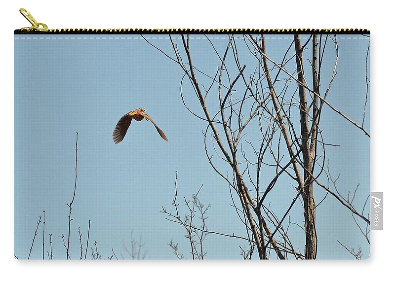 American Woodcock Zip Pouch featuring the photograph Evanescent queen of upland birds by Asbed Iskedjian