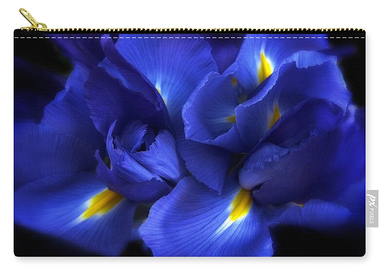 Iris Zip Pouch featuring the photograph Evening Iris by Jessica Jenney