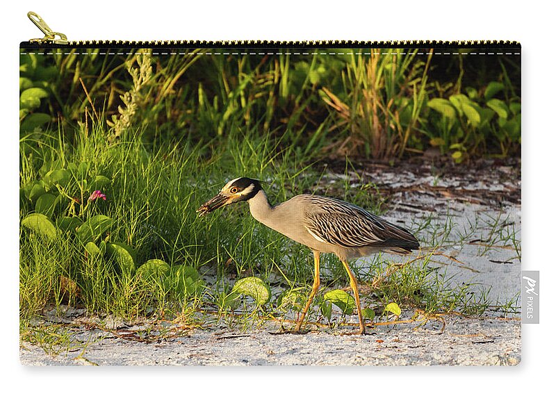 Birds Zip Pouch featuring the photograph Evening Meal by Ginger Stein