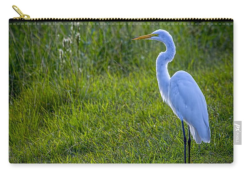 Lakeland Zip Pouch featuring the photograph Evening Search by Marvin Spates
