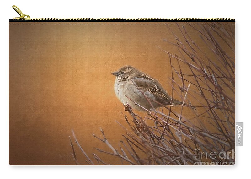 Nature Zip Pouch featuring the photograph Evening Sparrow Song by Sharon McConnell