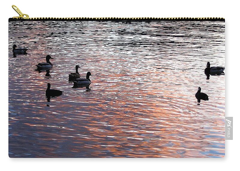 Ducks Zip Pouch featuring the photograph Evening Swim by Will Borden