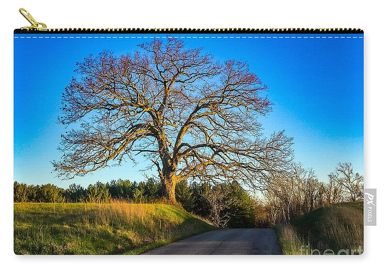 Tree Zip Pouch featuring the photograph Evening Tree by Kevin Craft