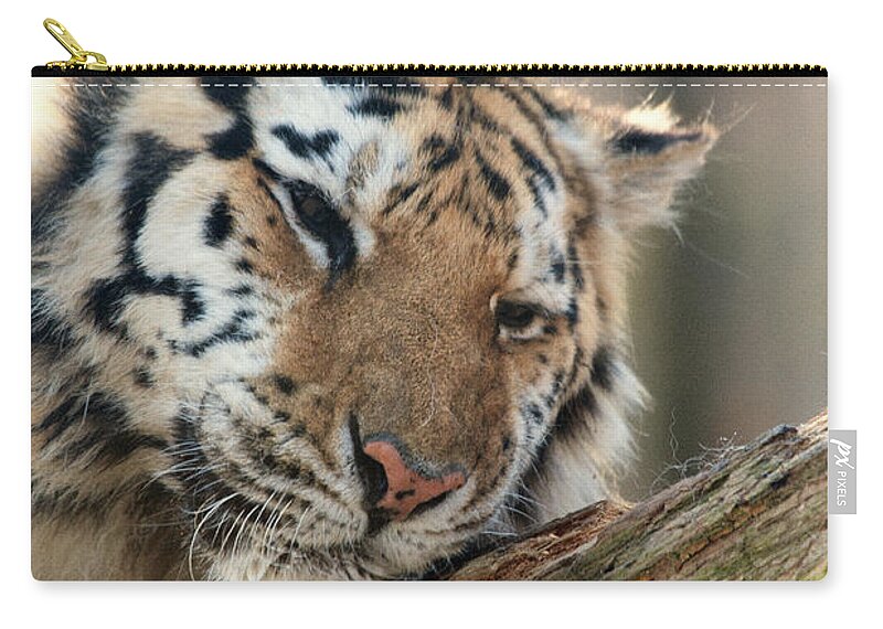 Precious Zip Pouch featuring the photograph Ever So Gently by Karol Livote