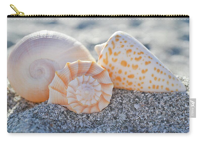 Sanibel Zip Pouch featuring the photograph Every Shell Has A Story by Melanie Moraga