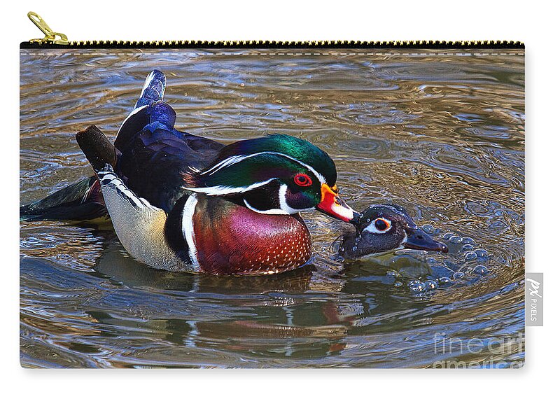 Wood Duck Zip Pouch featuring the photograph Everything's Ducky by Jim Garrison