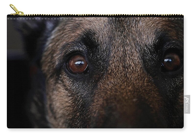 Dog Zip Pouch featuring the photograph Expectant by Jessica Myscofski