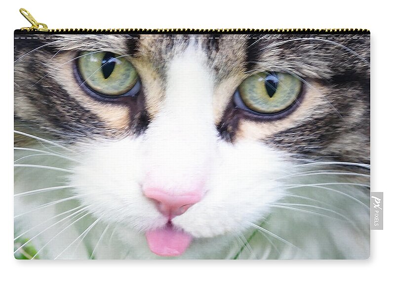 Photo Zip Pouch featuring the photograph Expressive Maine Coon Photo A6217 by Mas Art Studio