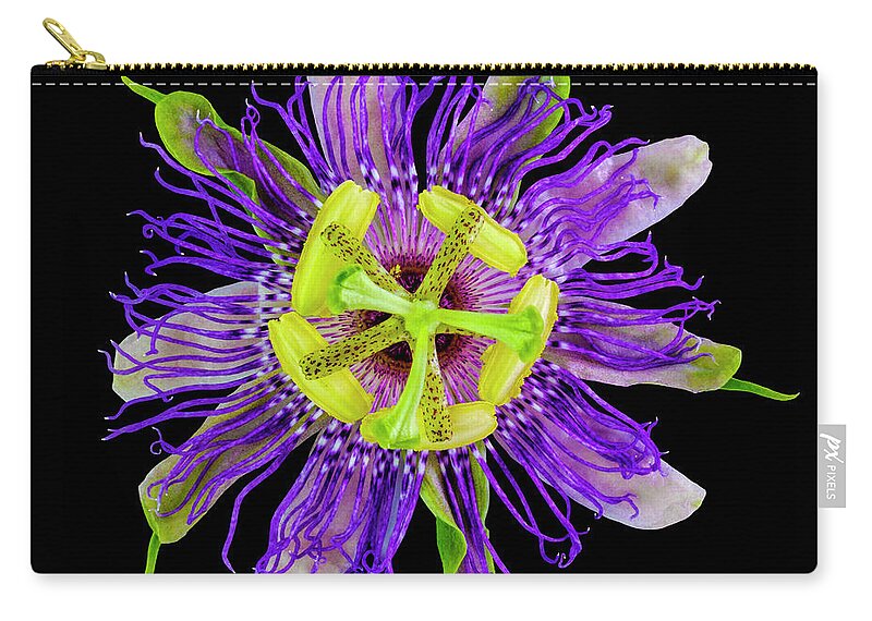 Expressive Zip Pouch featuring the photograph Expressive Yellow Green and Violet Passion Flower 50674C by Ricardos Creations