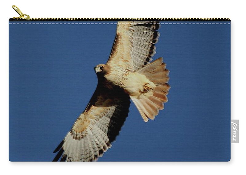 Red Zip Pouch featuring the photograph Eye Contact by Trent Mallett