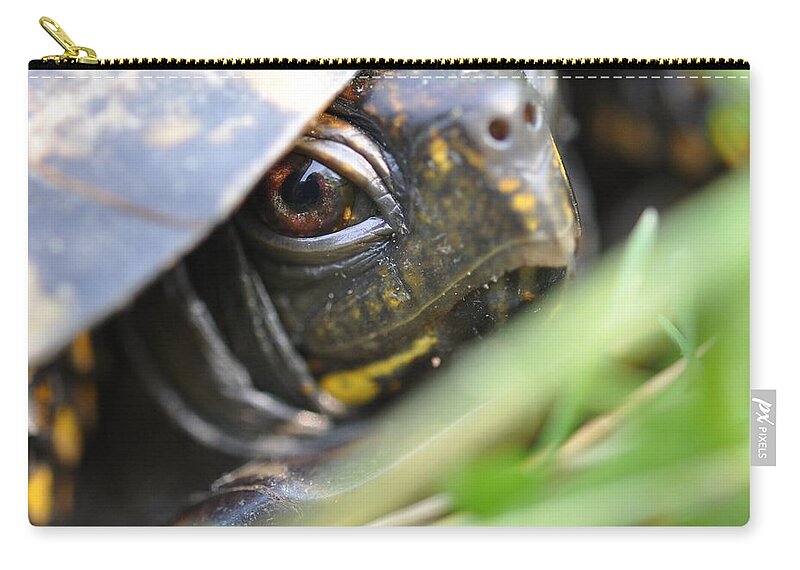 Turtle Zip Pouch featuring the photograph Eye of the Beholder by Joan Kerns