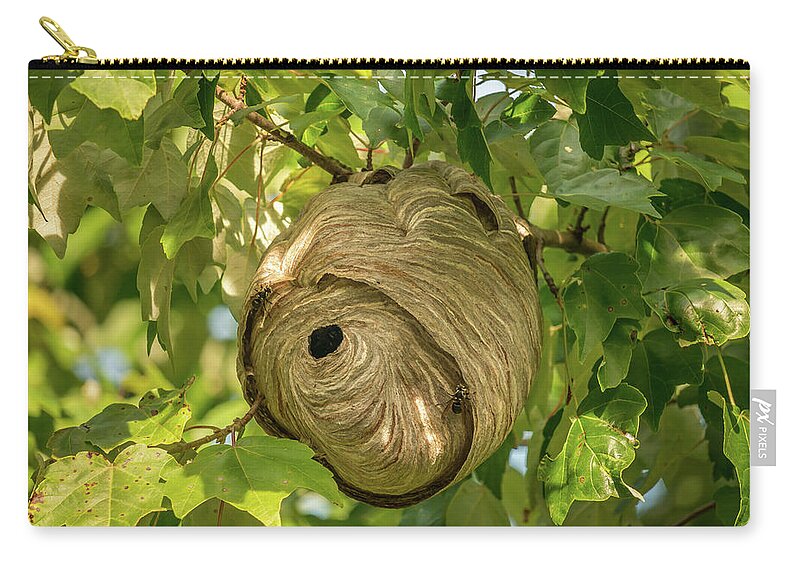 Nature Zip Pouch featuring the photograph Eye of the Storm by Chris Berrier