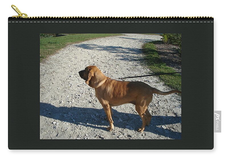 Bloodhound Zip Pouch featuring the photograph Eye on Something by Val Oconnor