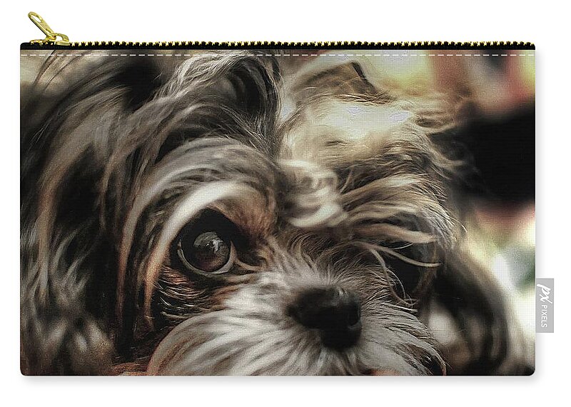 Dog Zip Pouch featuring the photograph Eye see you... by Jeffrey Platt