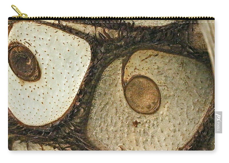 Abstract Zip Pouch featuring the photograph Eye Spy by Carol Senske