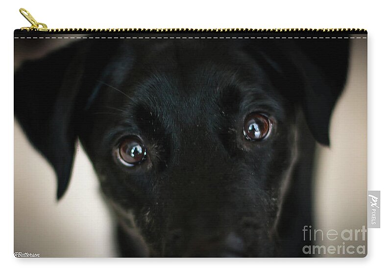 Eyes Zip Pouch featuring the photograph Eyes are Windows to the Soul by Veronica Batterson