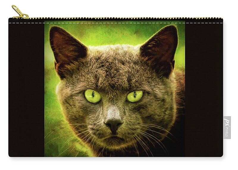 Terry D Photography Zip Pouch featuring the photograph Eyes On You Cat Square by Terry DeLuco