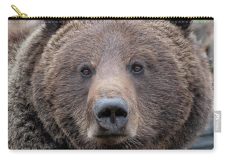 Grizzly Zip Pouch featuring the photograph Face of the Grizzly by Mark Miller