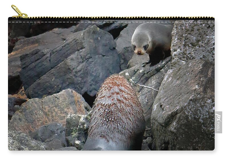 Faceoff Zip Pouch featuring the photograph Face Off by Nicholas Blackwell