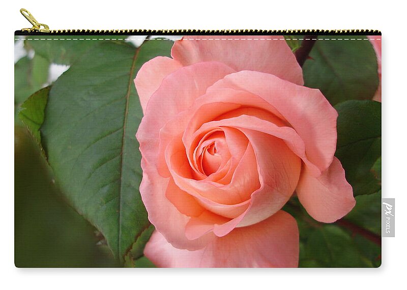 Roses Zip Pouch featuring the photograph Facing the Sunset by Anjel B Hartwell