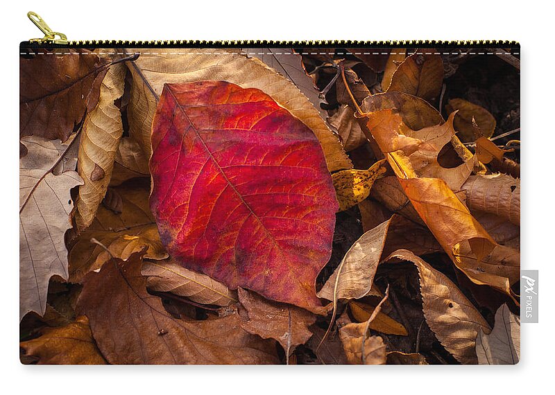 Leaf Zip Pouch featuring the photograph Fading Color by Jeff Phillippi