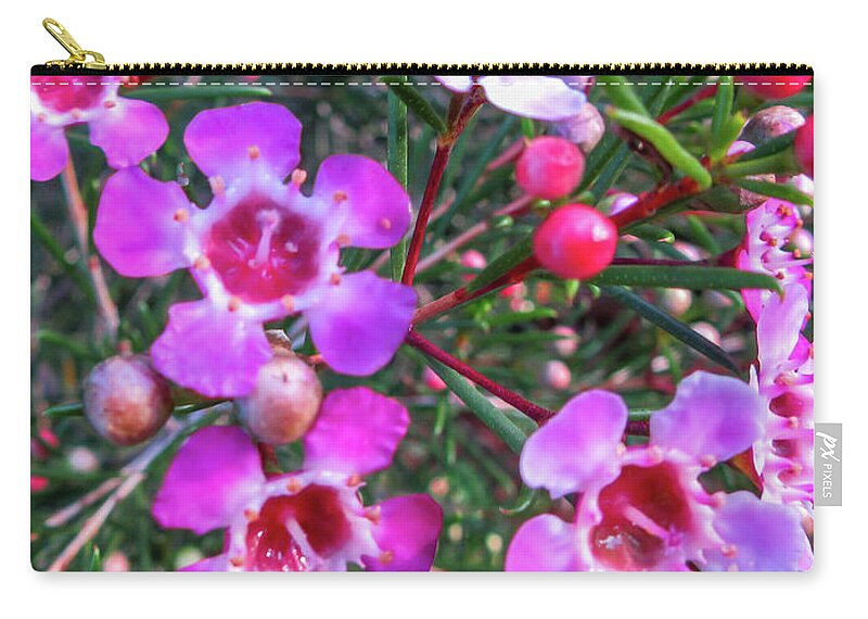 Flowers Zip Pouch featuring the photograph Fading to Pink by Robert Caddy