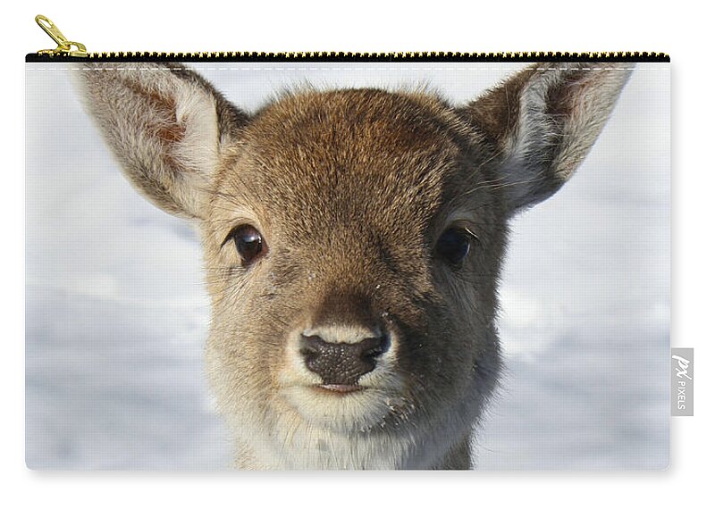 Deer Zip Pouch featuring the photograph Fae the fawn by Heather King