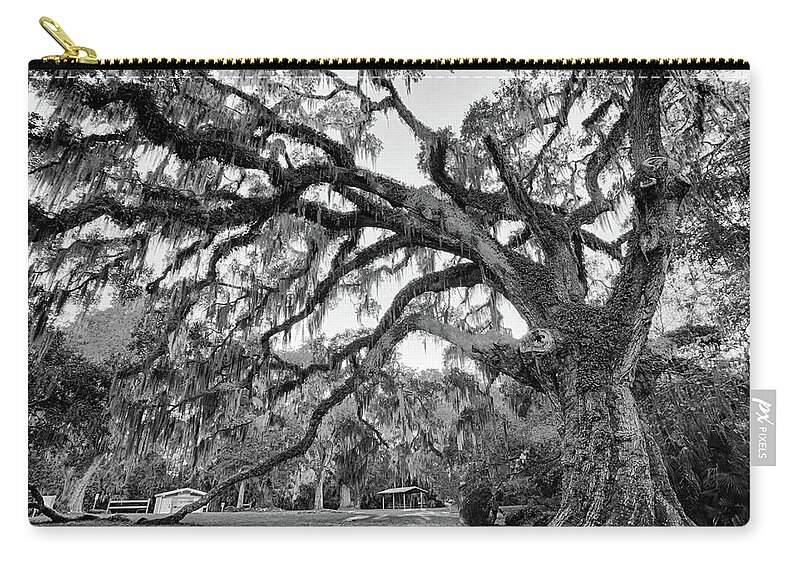 Fairchild Zip Pouch featuring the photograph Fairchild Tree by Dillon Kalkhurst