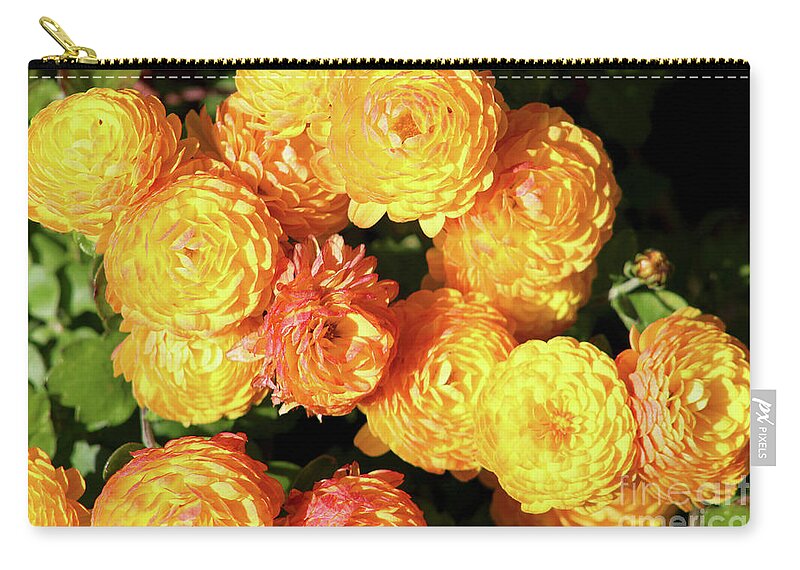 Mums Zip Pouch featuring the photograph Fall 2016 Series no. 1 by Verana Stark