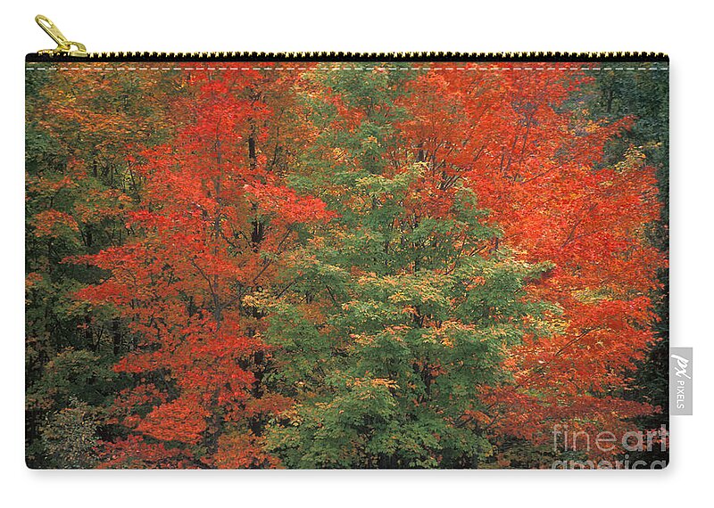 Door County Zip Pouch featuring the photograph Fall Brilliance by Sandra Bronstein