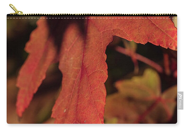 Scenic Zip Pouch featuring the photograph Fall Color 5528 16 by M K Miller