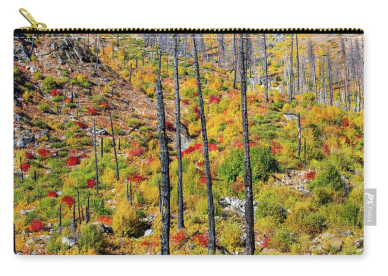 Landscape Zip Pouch featuring the photograph Fall color -after wild fire by Hisao Mogi