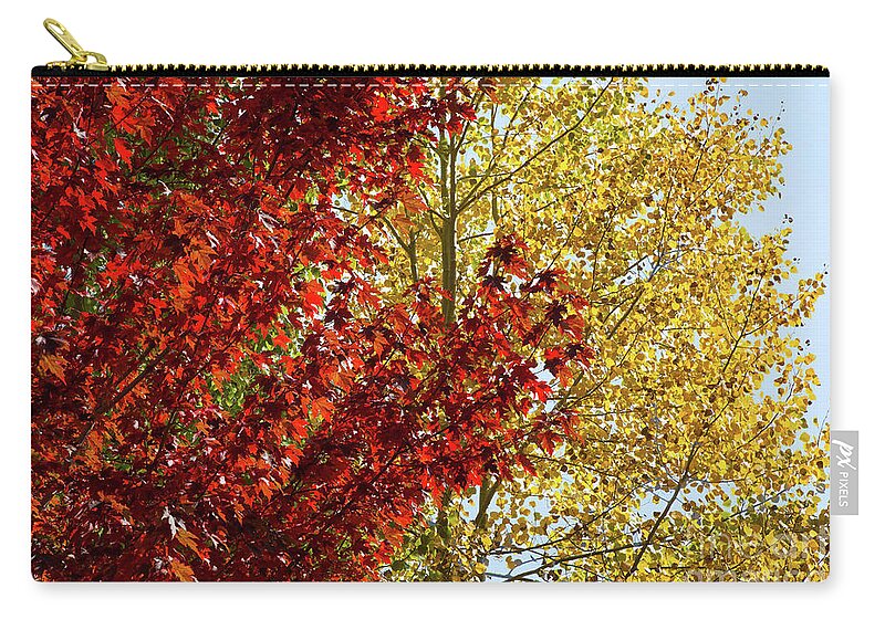 Eastern Sierra Zip Pouch featuring the photograph Fall Color Combo by Mimi Ditchie