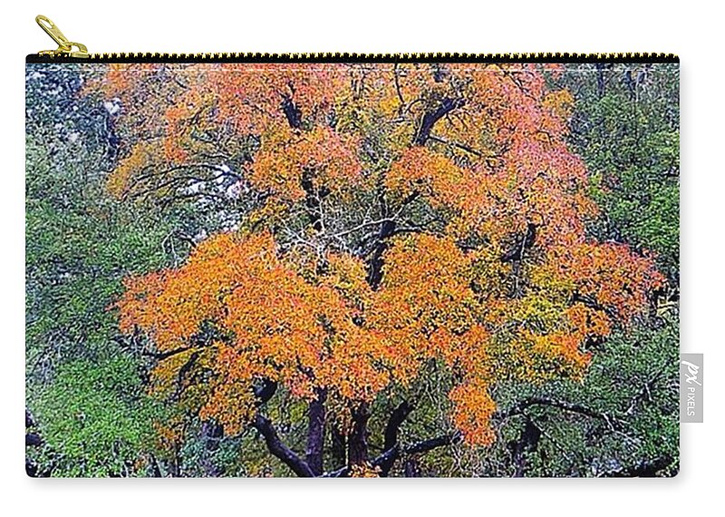 Instanaturelover Zip Pouch featuring the photograph #fall #colors Have Arrived In #texas by Austin Tuxedo Cat