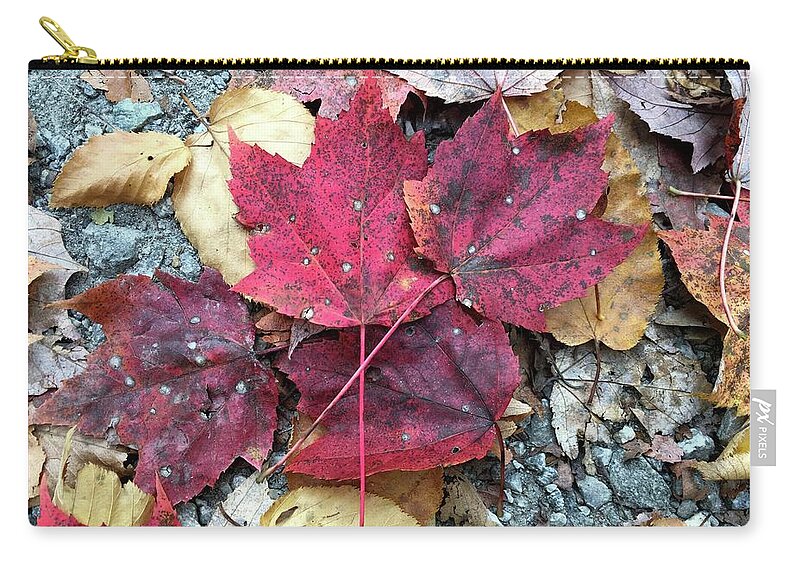 Fall Colors Zip Pouch featuring the photograph Fall Colors by Robert J Wagner