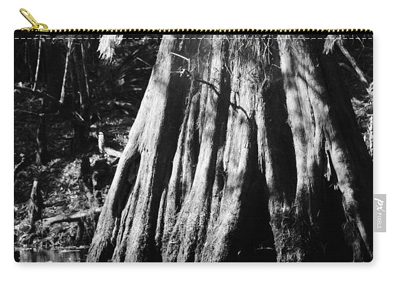 Fall Cypress Macro Bw Zip Pouch featuring the photograph Fall Cypress Macro BW by Warren Thompson