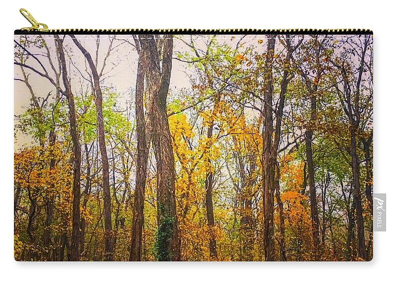 Fall Zip Pouch featuring the photograph Fall Farewell by Michael Oceanofwisdom Bidwell