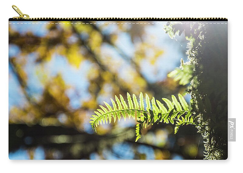 Fern Zip Pouch featuring the photograph Fall Ferns 3 by Pelo Blanco Photo