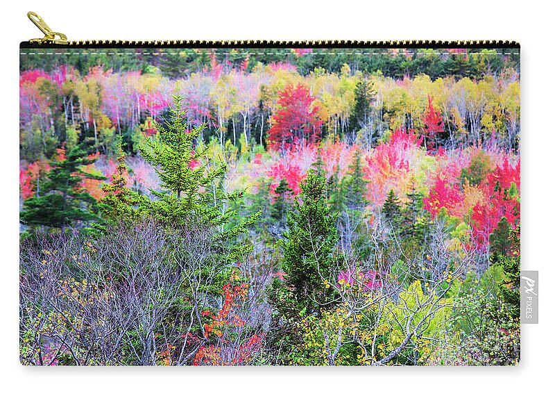 Fall Foliage Zip Pouch featuring the photograph Fall Foliage, Acadia National Park by Felix Lai