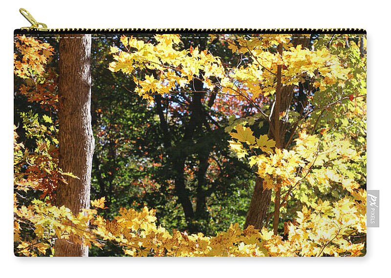 Fall Zip Pouch featuring the photograph Fall Forest 3 by William Selander