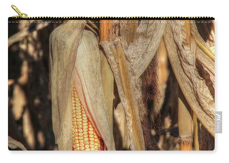 Corn Zip Pouch featuring the photograph Fall Harvest Awaits by J Laughlin